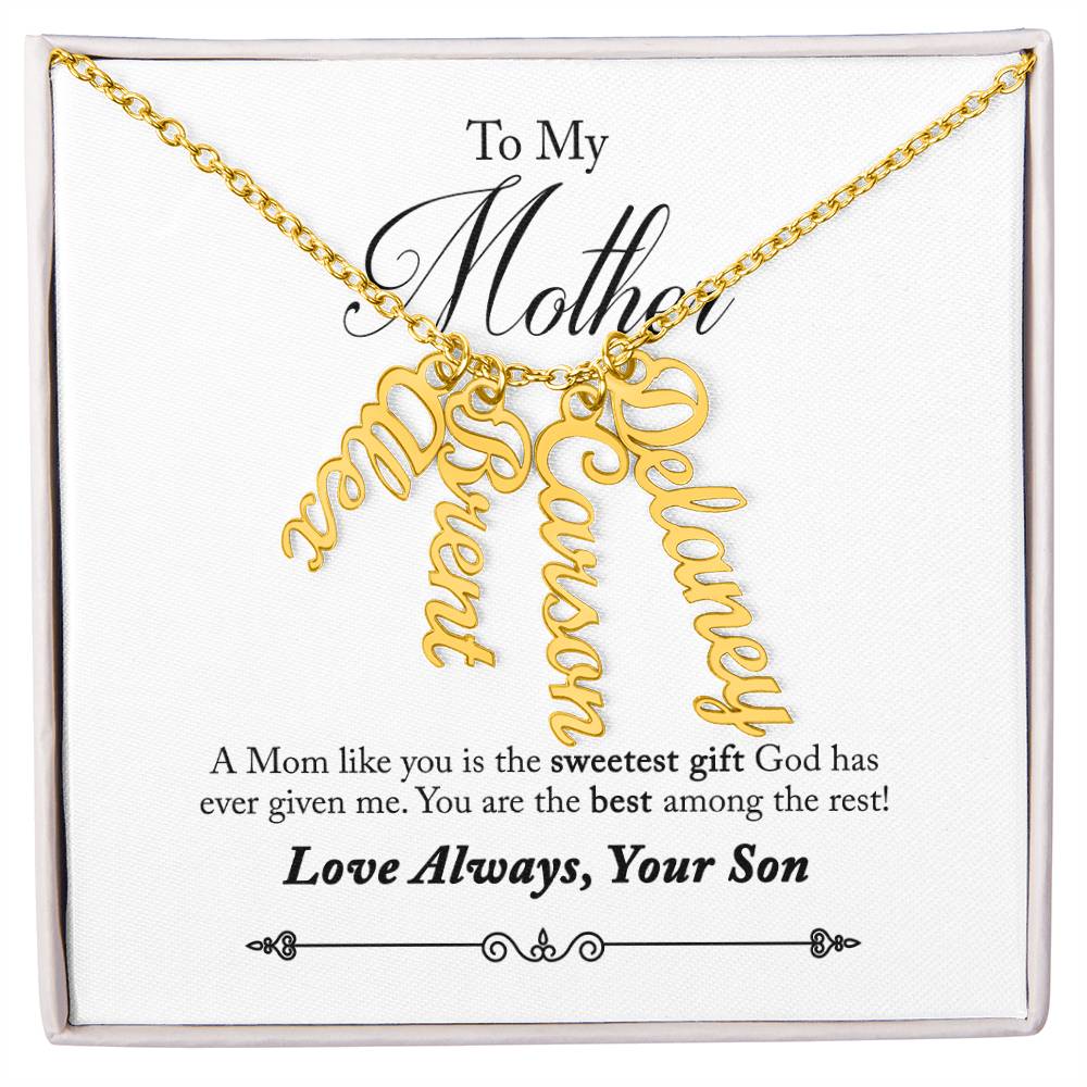To My Mother |  A Mom like you is the sweetest gift God has ever given me - Multi Vertical Name Necklace