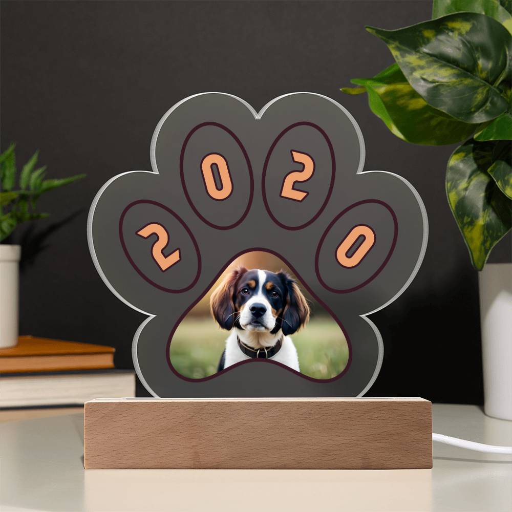 Acrylic Paw Plaque 2020 - Printed Paw Print Acrylic Plaque