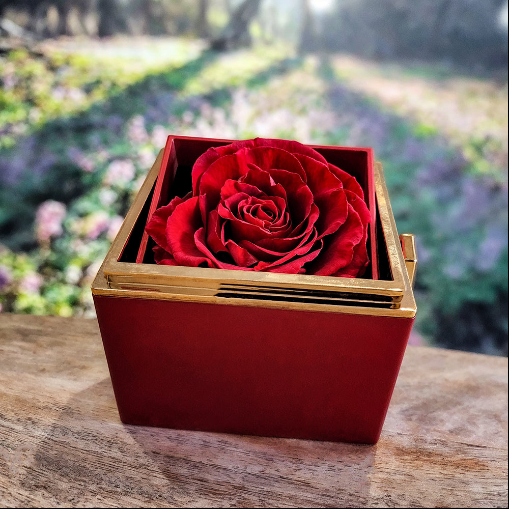 To My Wife | Best thing that ever happened to me - Love Knot with Rotating Rose Gift Box