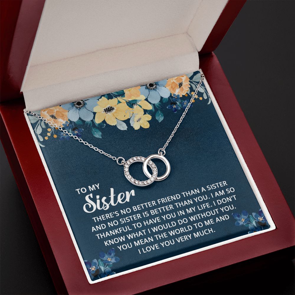 To My Sister | I don't know what I would do without you - Perfect Pair Necklace
