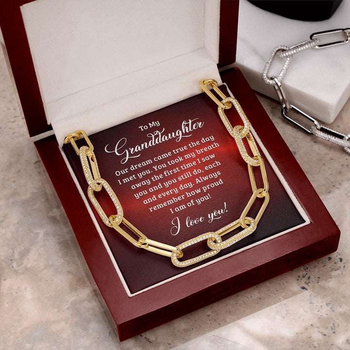 To My Granddaughter | Our dream came true the day I met you - Forever Linked Necklace
