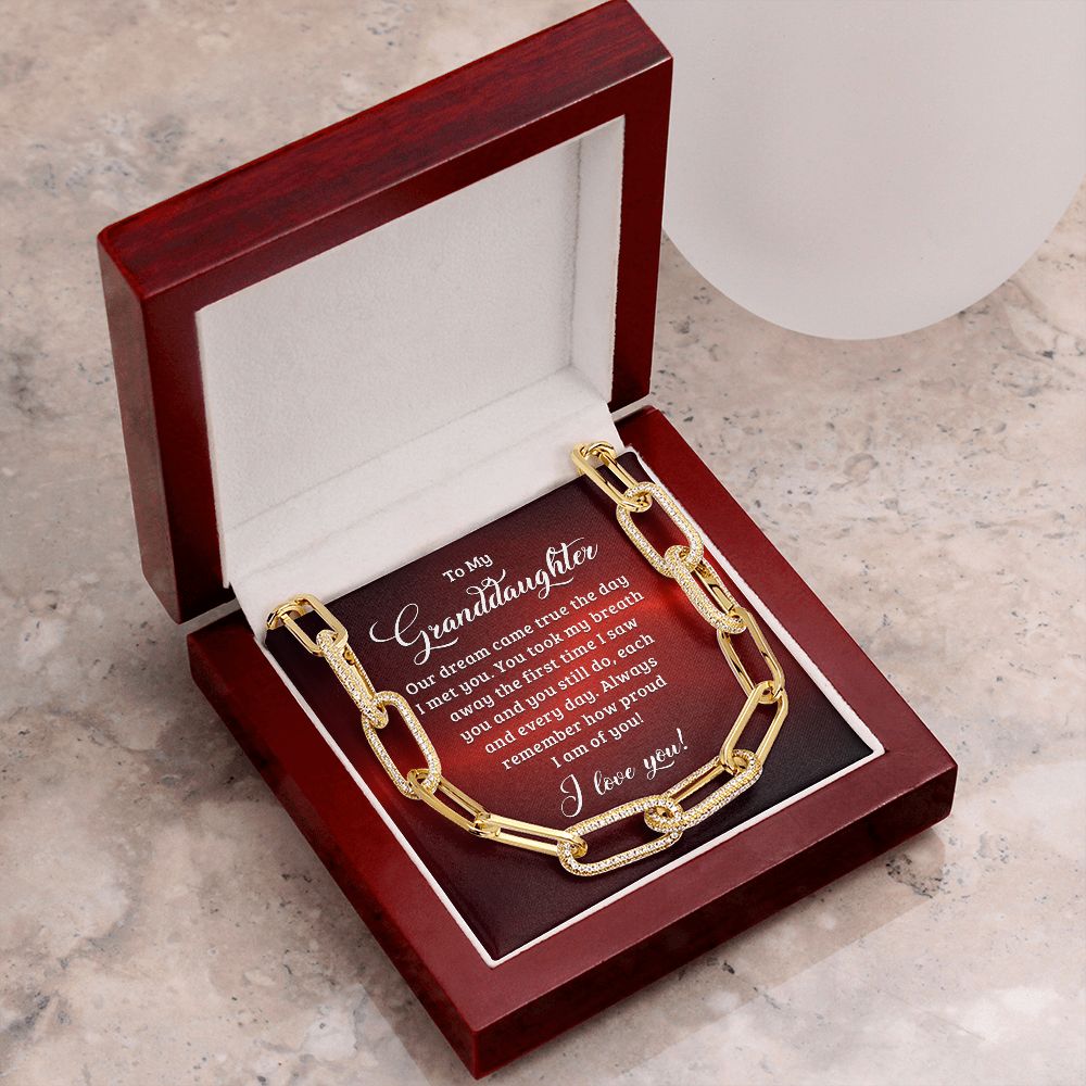 To My Granddaughter | Our dream came true the day I met you - Forever Linked Necklace