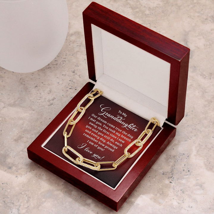 To My Granddaughter | Our dream came true the day I met you - Forever Linked Necklace