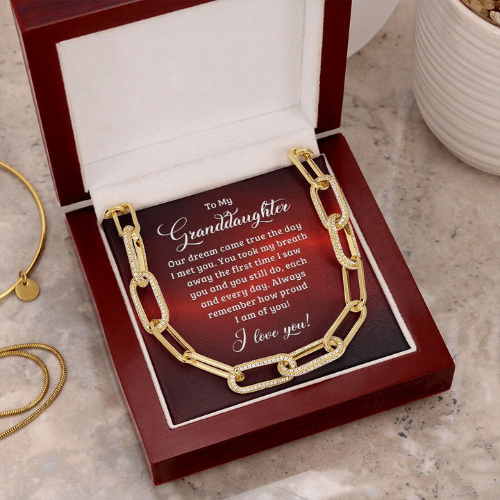 To My Granddaughter | Our dream came true the day I met you - Forever Linked Necklace