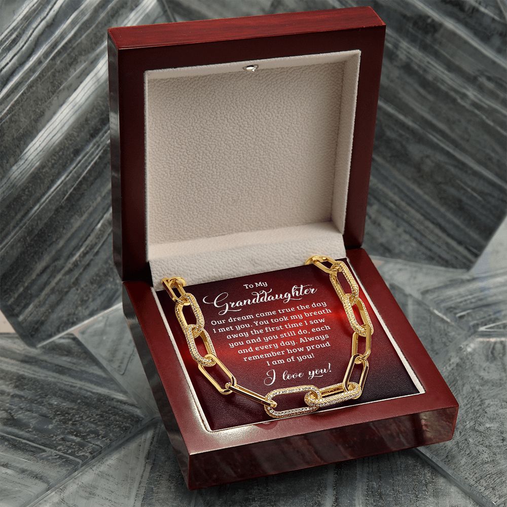 To My Granddaughter | Our dream came true the day I met you - Forever Linked Necklace