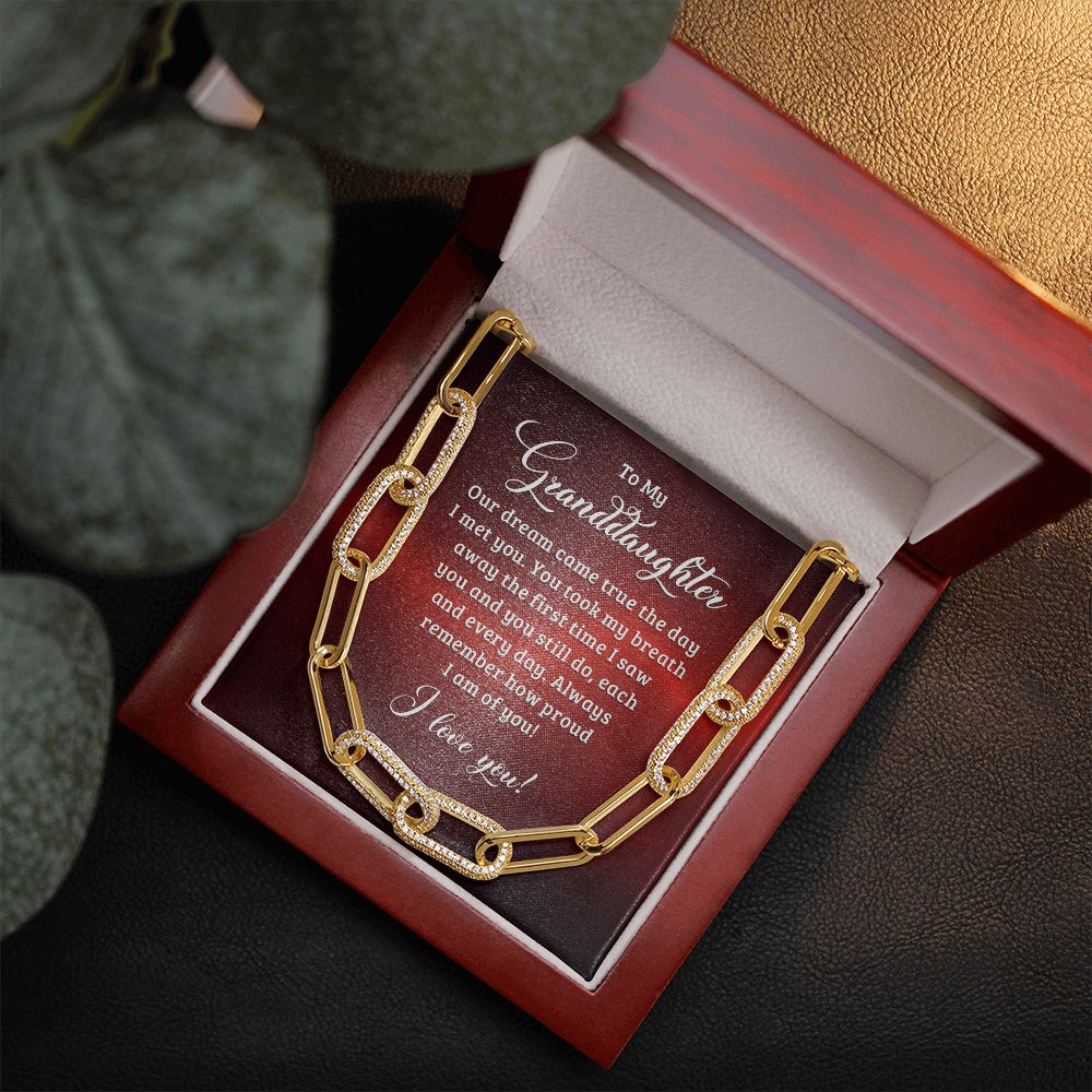 To My Granddaughter | Our dream came true the day I met you - Forever Linked Necklace