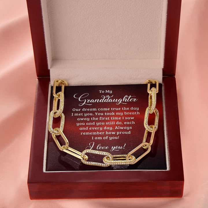 To My Granddaughter | Our dream came true the day I met you - Forever Linked Necklace