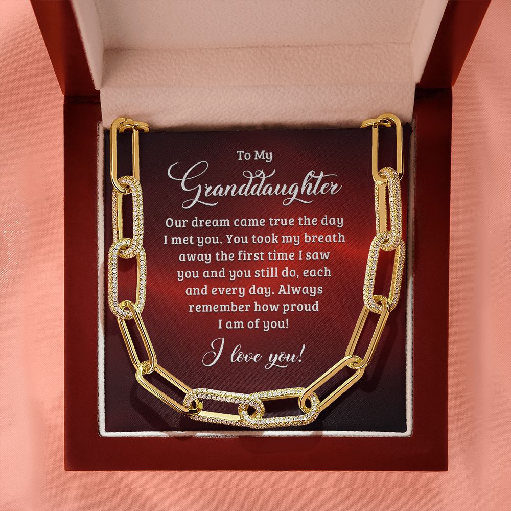 To My Granddaughter | Our dream came true the day I met you - Forever Linked Necklace