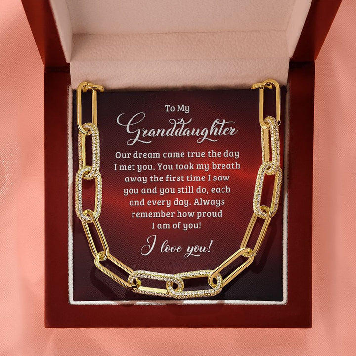 To My Granddaughter | Our dream came true the day I met you - Forever Linked Necklace