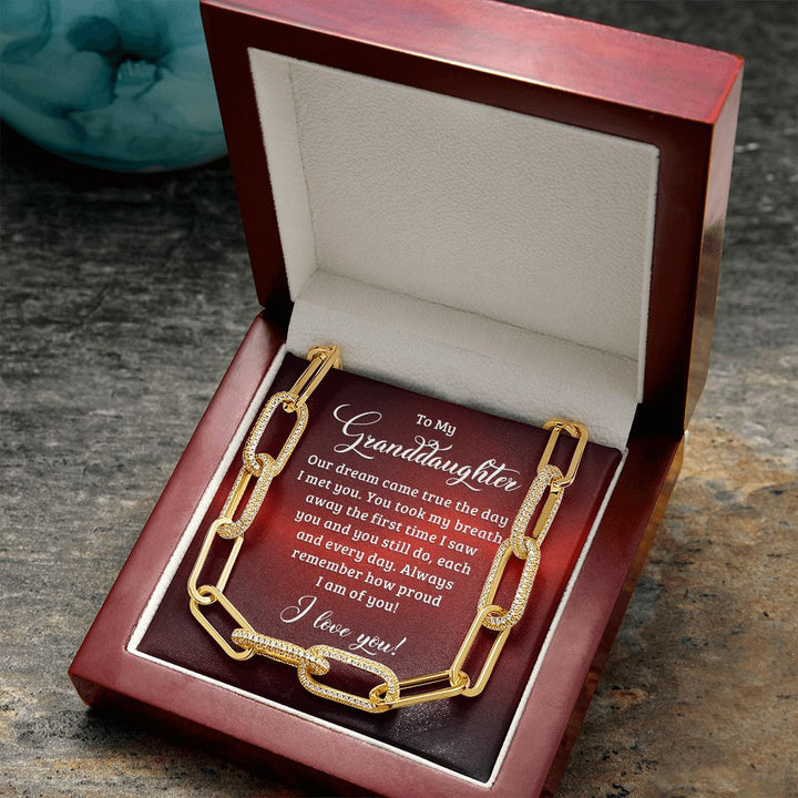 To My Granddaughter | Our dream came true the day I met you - Forever Linked Necklace