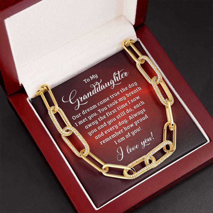 To My Granddaughter | Our dream came true the day I met you - Forever Linked Necklace