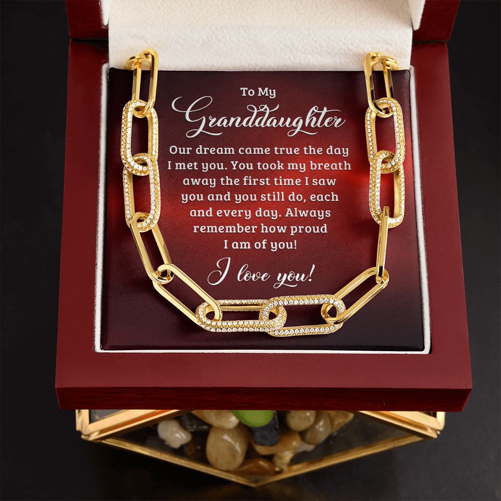 To My Granddaughter | Our dream came true the day I met you - Forever Linked Necklace
