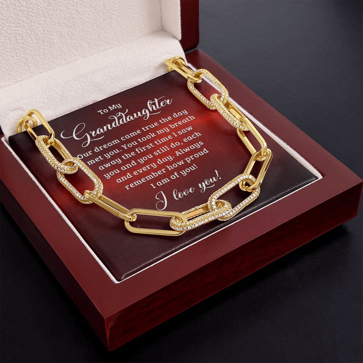 To My Granddaughter | Our dream came true the day I met you - Forever Linked Necklace