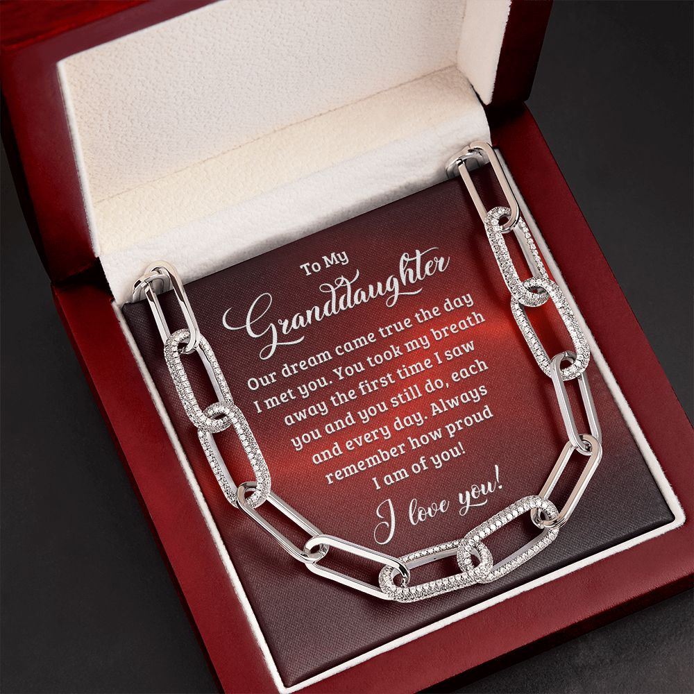 To My Granddaughter | Our dream came true the day I met you - Forever Linked Necklace
