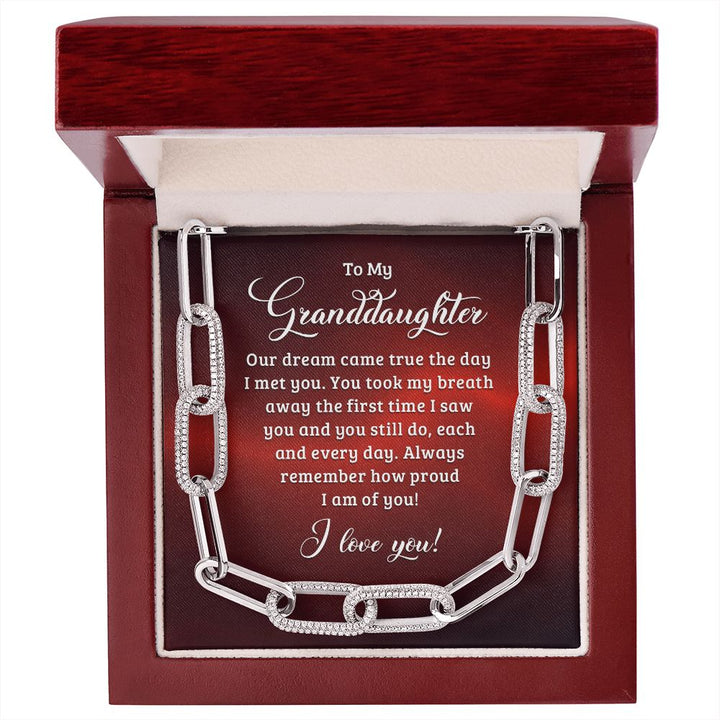 To My Granddaughter | Our dream came true the day I met you - Forever Linked Necklace