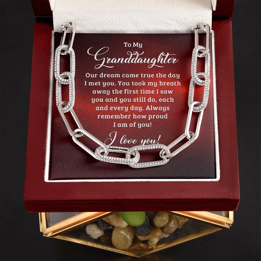 To My Granddaughter | Our dream came true the day I met you - Forever Linked Necklace