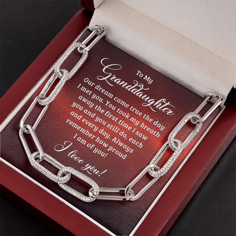 To My Granddaughter | Our dream came true the day I met you - Forever Linked Necklace