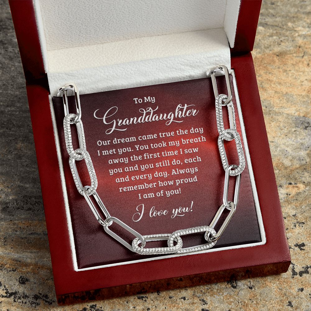 To My Granddaughter | Our dream came true the day I met you - Forever Linked Necklace