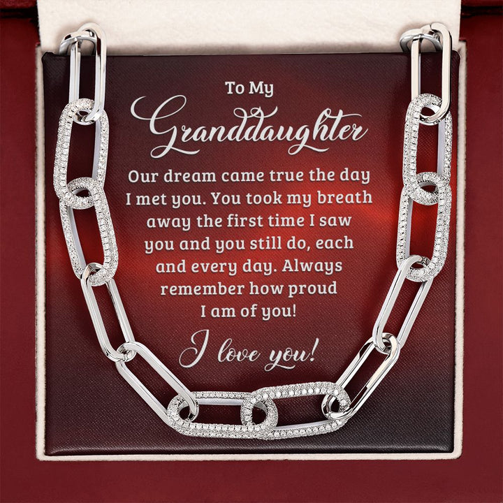 To My Granddaughter | Our dream came true the day I met you - Forever Linked Necklace