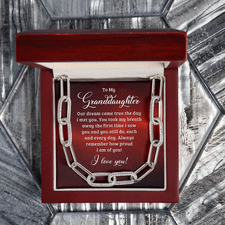 To My Granddaughter | Our dream came true the day I met you - Forever Linked Necklace