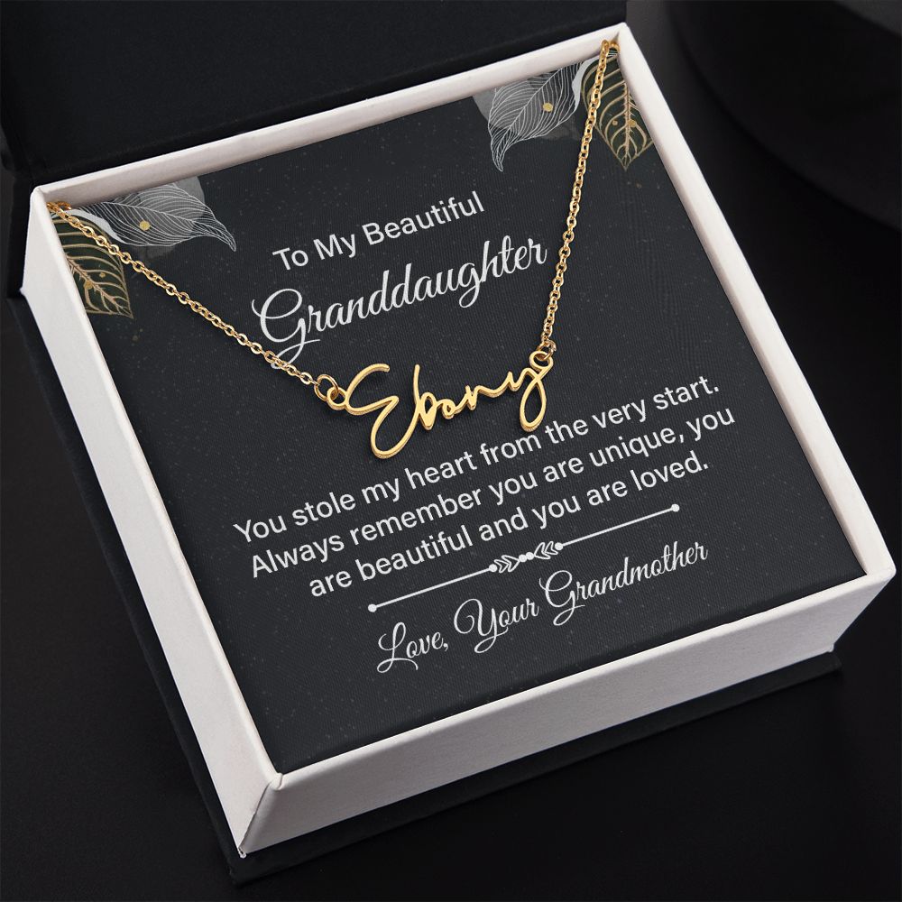 To My Beautiful Granddaughter | You stole my heart - Signature Style Name Necklace