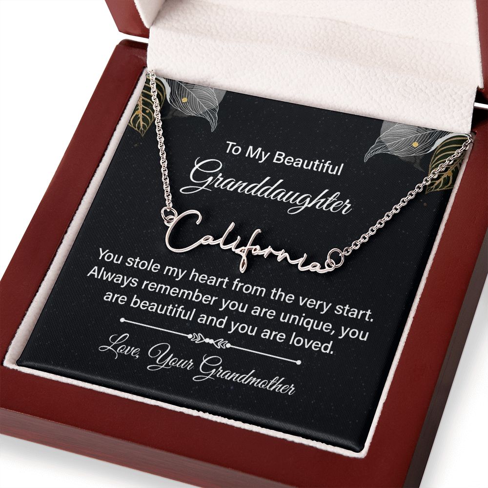 To My Beautiful Granddaughter | You stole my heart - Signature Style Name Necklace