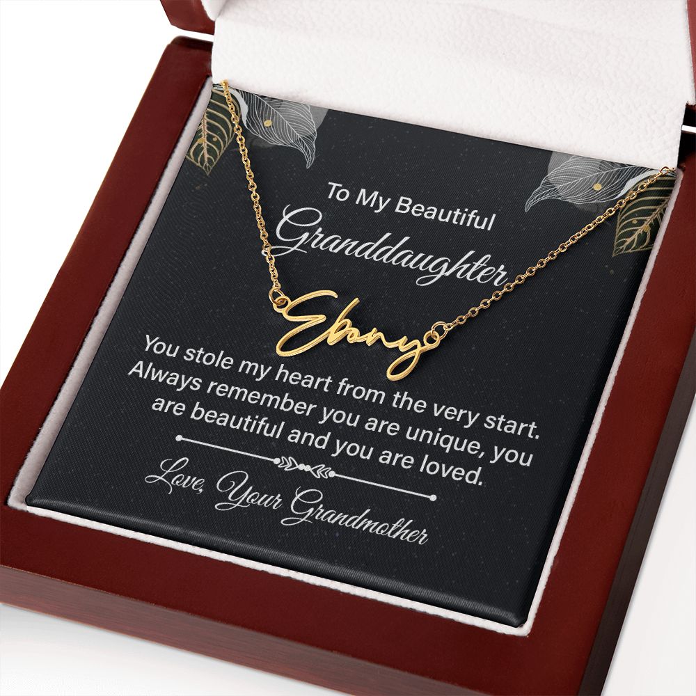 To My Beautiful Granddaughter | You stole my heart - Signature Style Name Necklace