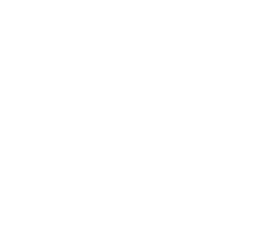 emotionnect