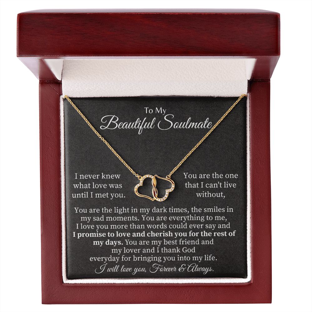 To My Beautiful Soulmate | I never knew what Love was until I met you - Everlasting Love Necklace