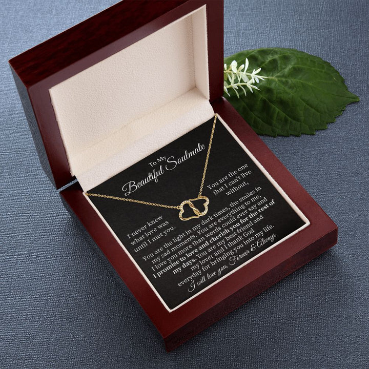 To My Beautiful Soulmate | I never knew what Love was until I met you - Everlasting Love Necklace