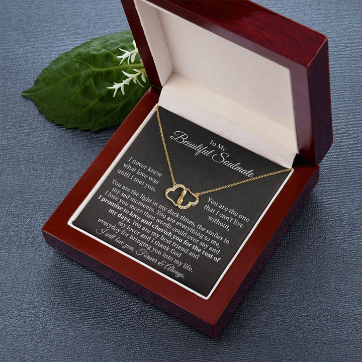 To My Beautiful Soulmate | I never knew what Love was until I met you - Everlasting Love Necklace