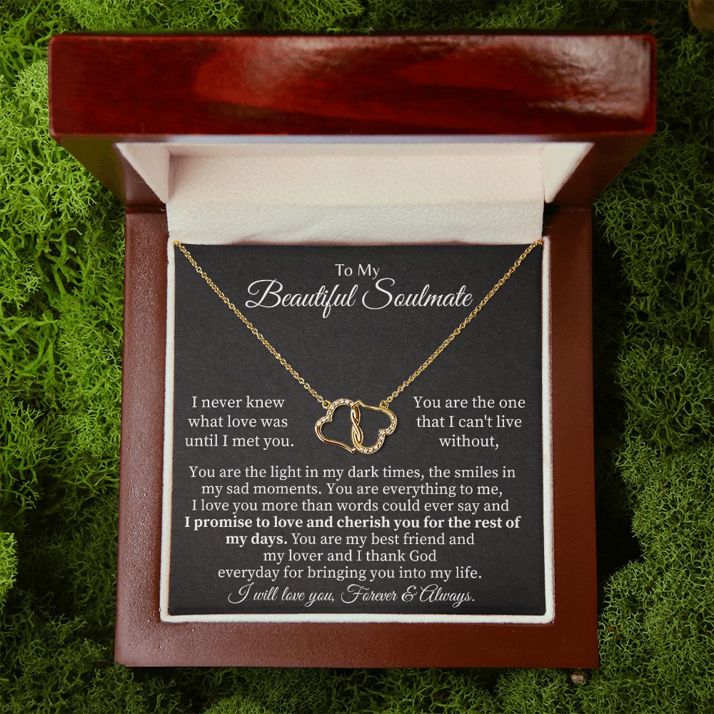 To My Beautiful Soulmate | I never knew what Love was until I met you - Everlasting Love Necklace