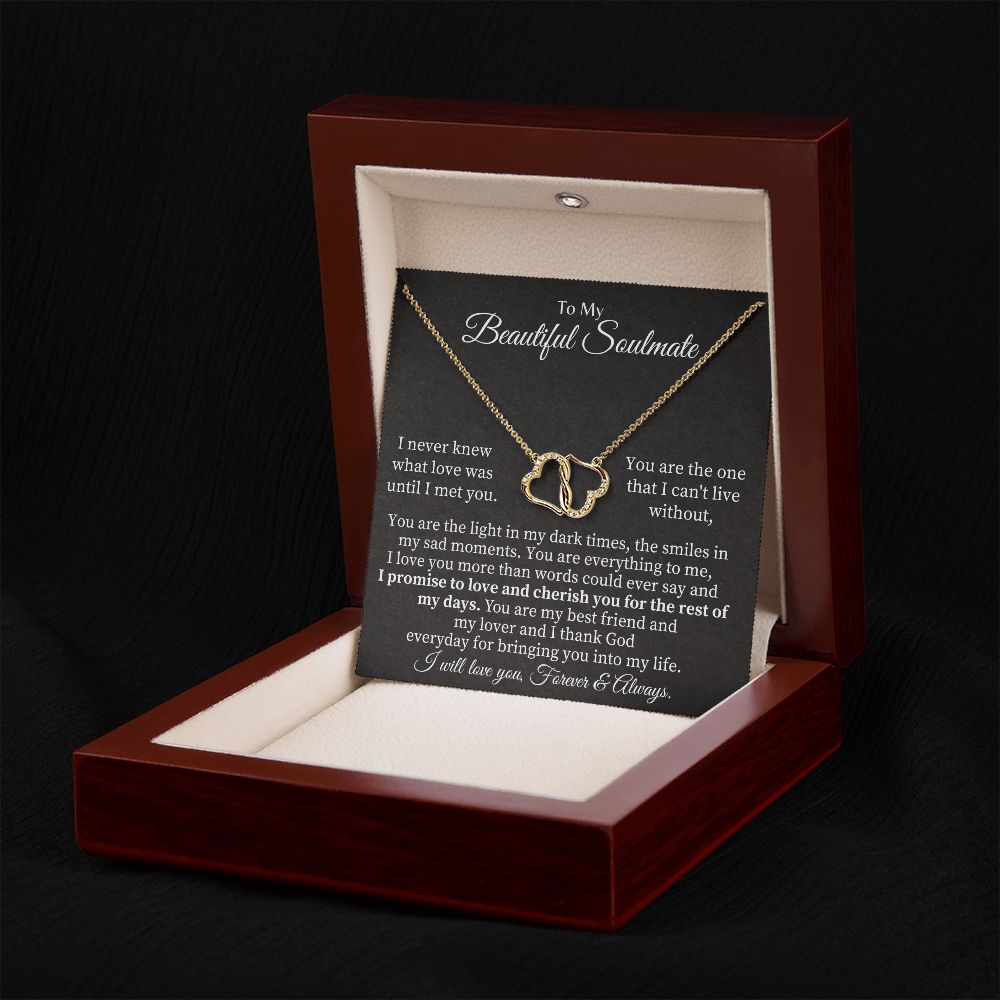 To My Beautiful Soulmate | I never knew what Love was until I met you - Everlasting Love Necklace