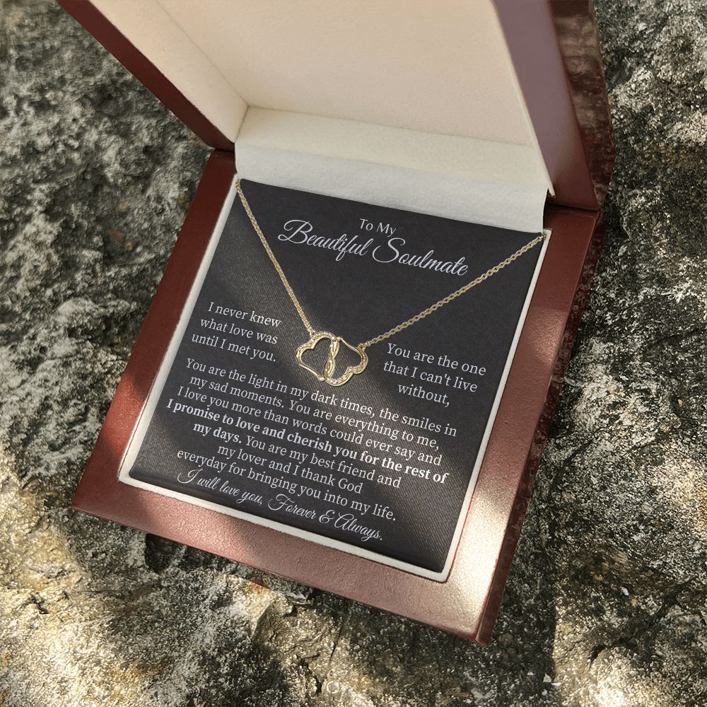 To My Beautiful Soulmate | I never knew what Love was until I met you - Everlasting Love Necklace