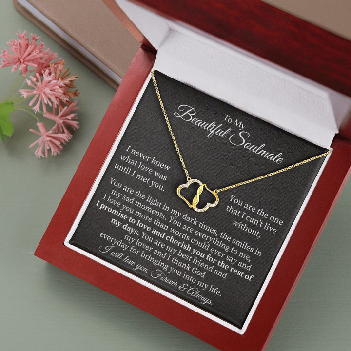 To My Beautiful Soulmate | I never knew what Love was until I met you - Everlasting Love Necklace