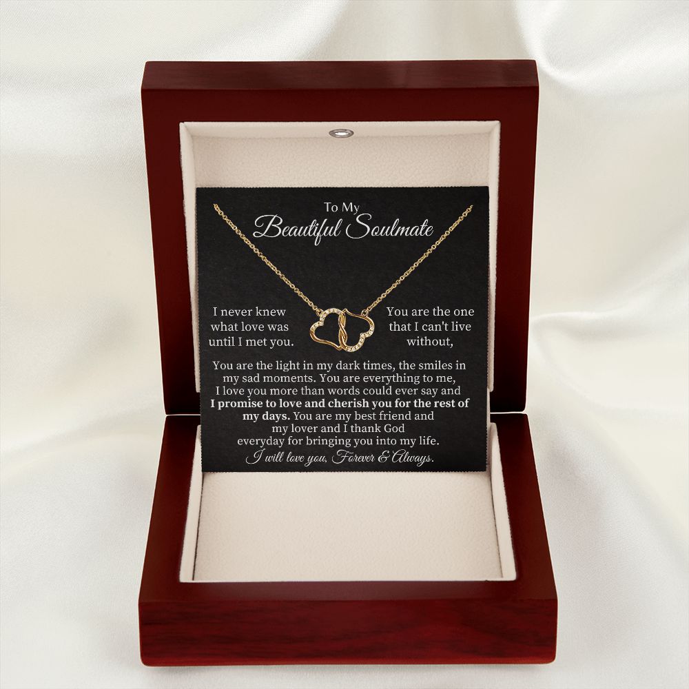 To My Beautiful Soulmate | I never knew what Love was until I met you - Everlasting Love Necklace