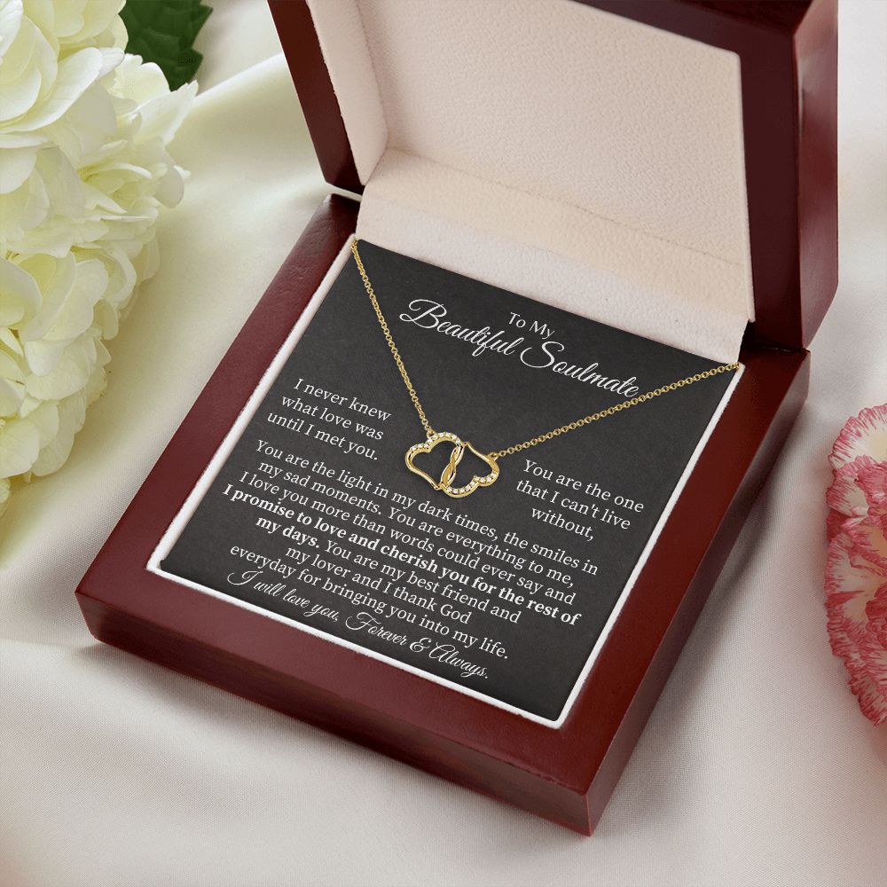 To My Beautiful Soulmate | I never knew what Love was until I met you - Everlasting Love Necklace