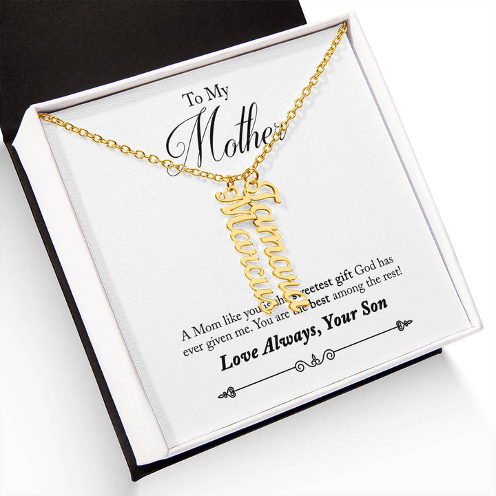 To My Mother |  A Mom like you is the sweetest gift God has ever given me - Multi Vertical Name Necklace