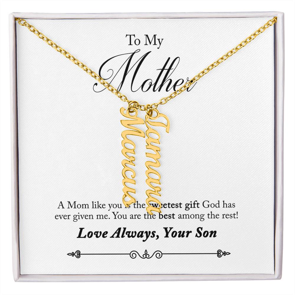 To My Mother |  A Mom like you is the sweetest gift God has ever given me - Multi Vertical Name Necklace