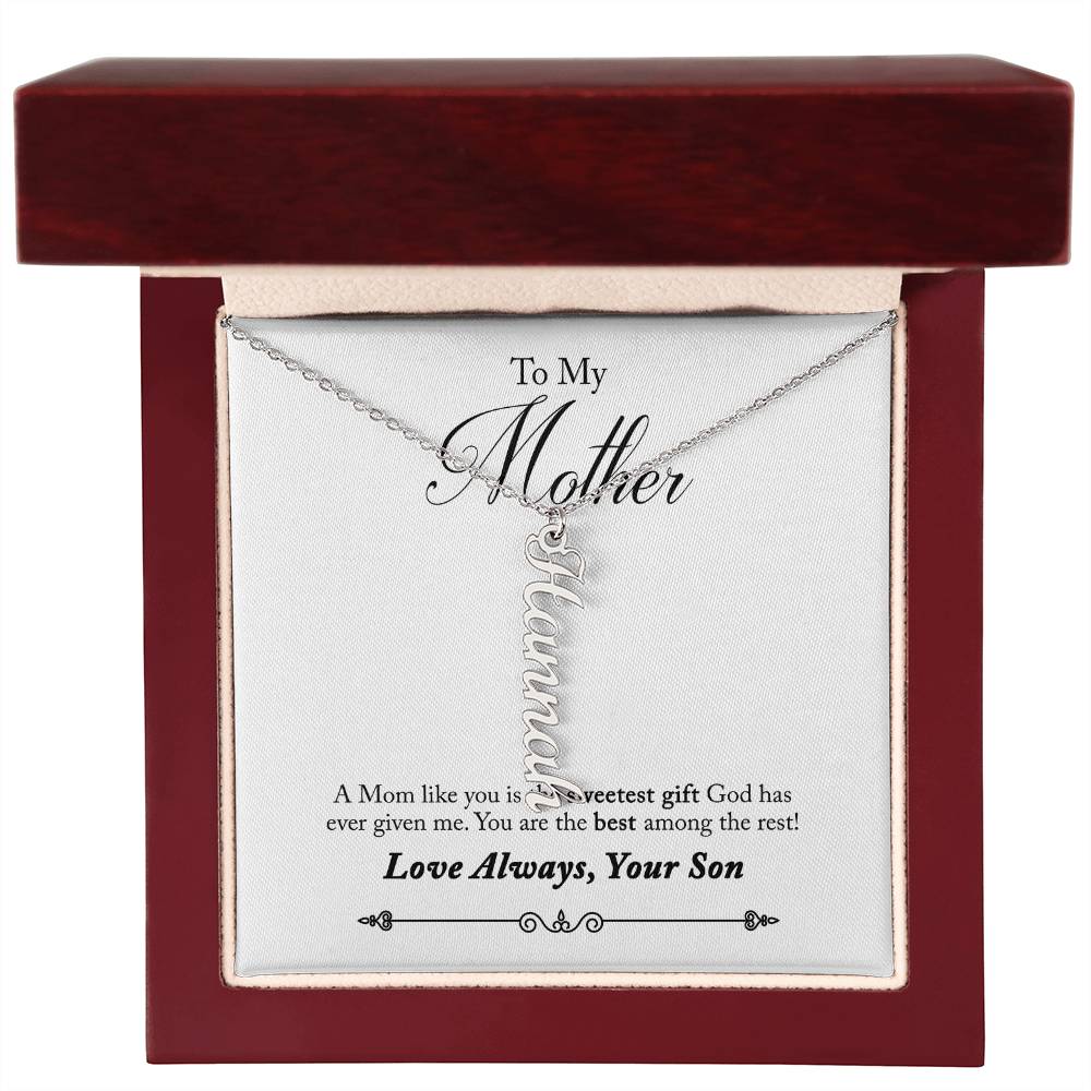 To My Mother |  A Mom like you is the sweetest gift God has ever given me - Multi Vertical Name Necklace