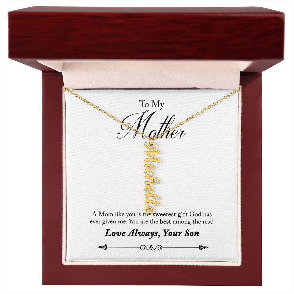 To My Mother |  A Mom like you is the sweetest gift God has ever given me - Multi Vertical Name Necklace