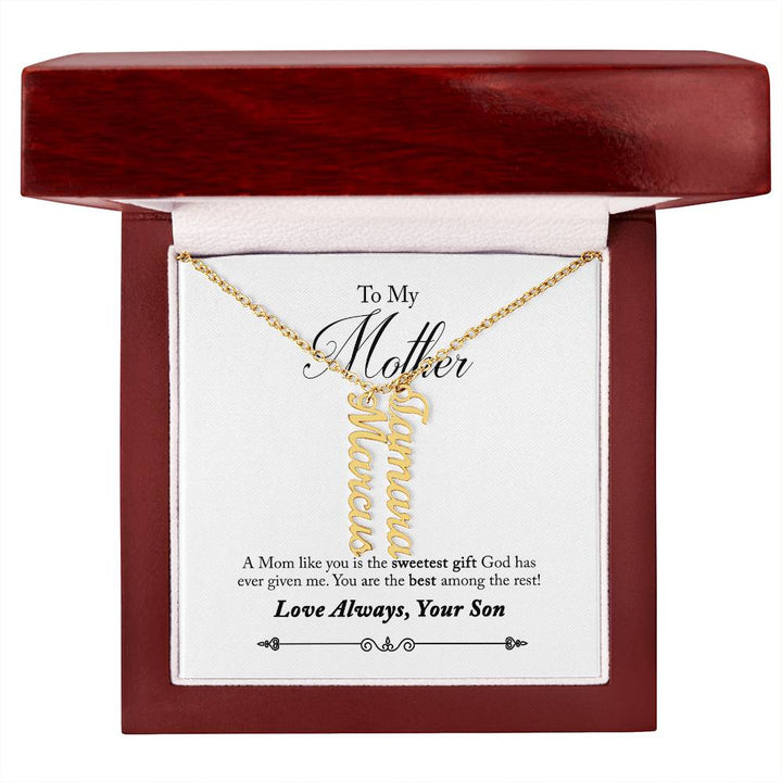 To My Mother |  A Mom like you is the sweetest gift God has ever given me - Multi Vertical Name Necklace