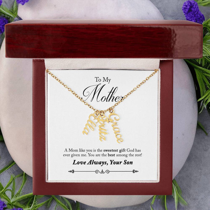 To My Mother |  A Mom like you is the sweetest gift God has ever given me - Multi Vertical Name Necklace