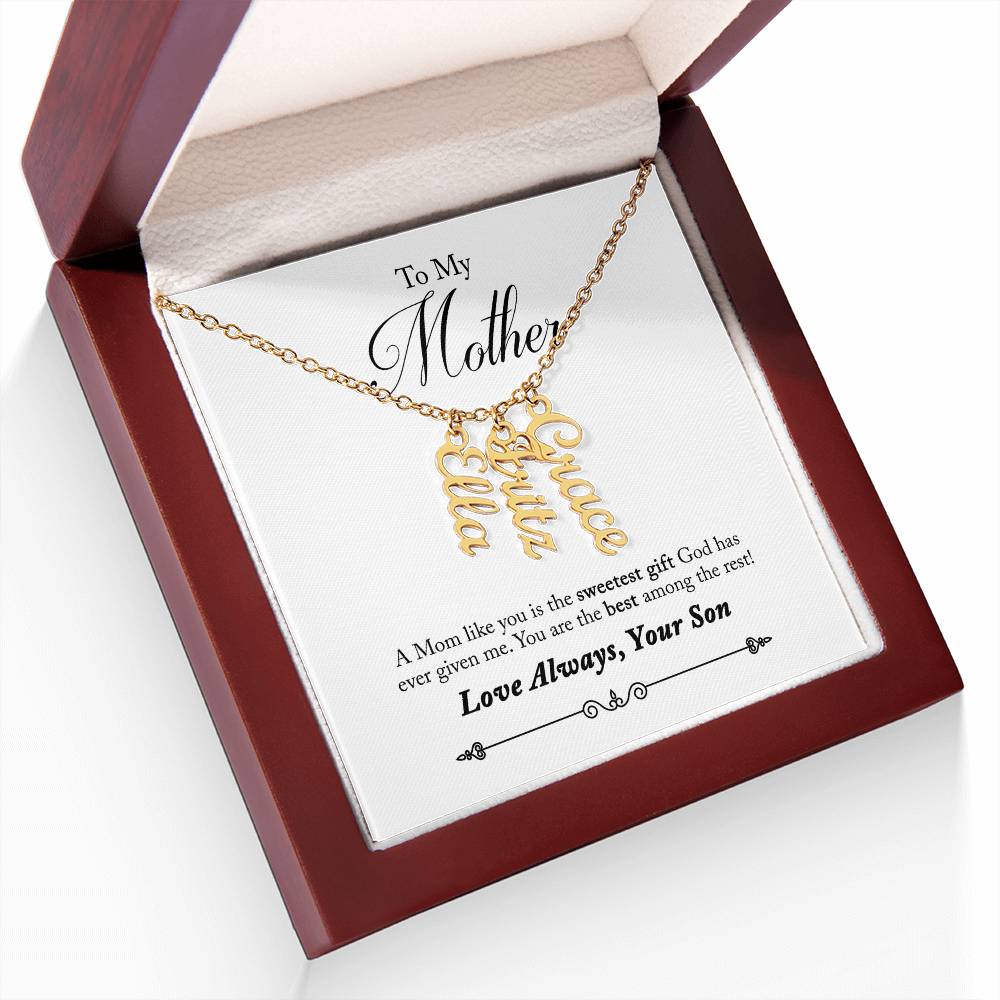 To My Mother |  A Mom like you is the sweetest gift God has ever given me - Multi Vertical Name Necklace