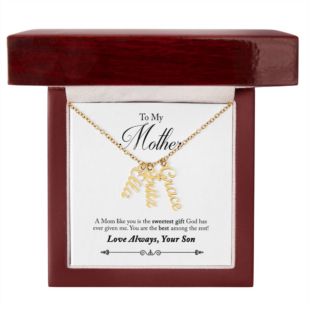 To My Mother |  A Mom like you is the sweetest gift God has ever given me - Multi Vertical Name Necklace