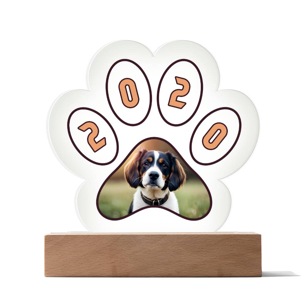 Acrylic Paw Plaque 2020 - Printed Paw Print Acrylic Plaque