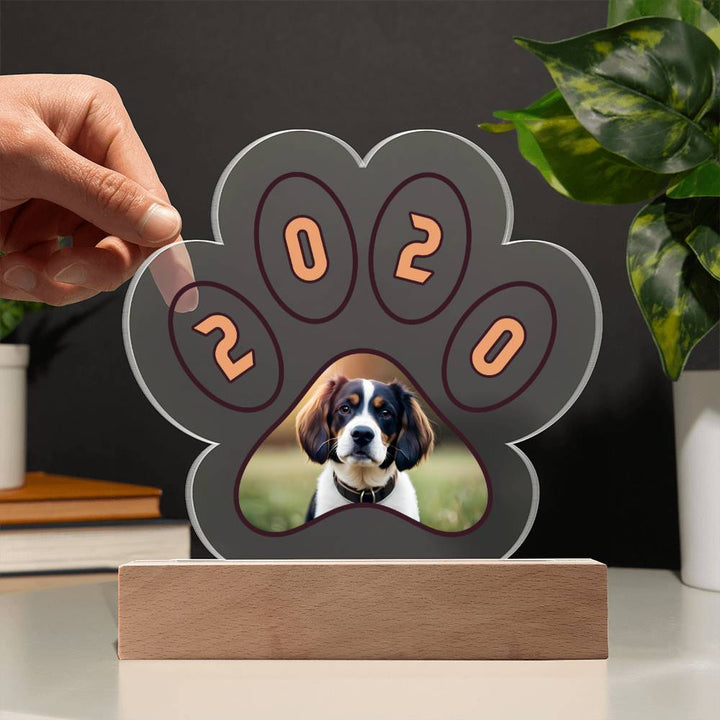 Acrylic Paw Plaque 2020 - Printed Paw Print Acrylic Plaque