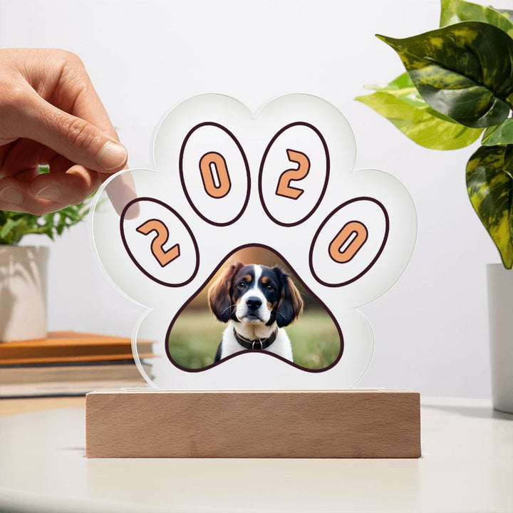 Acrylic Paw Plaque 2020 - Printed Paw Print Acrylic Plaque