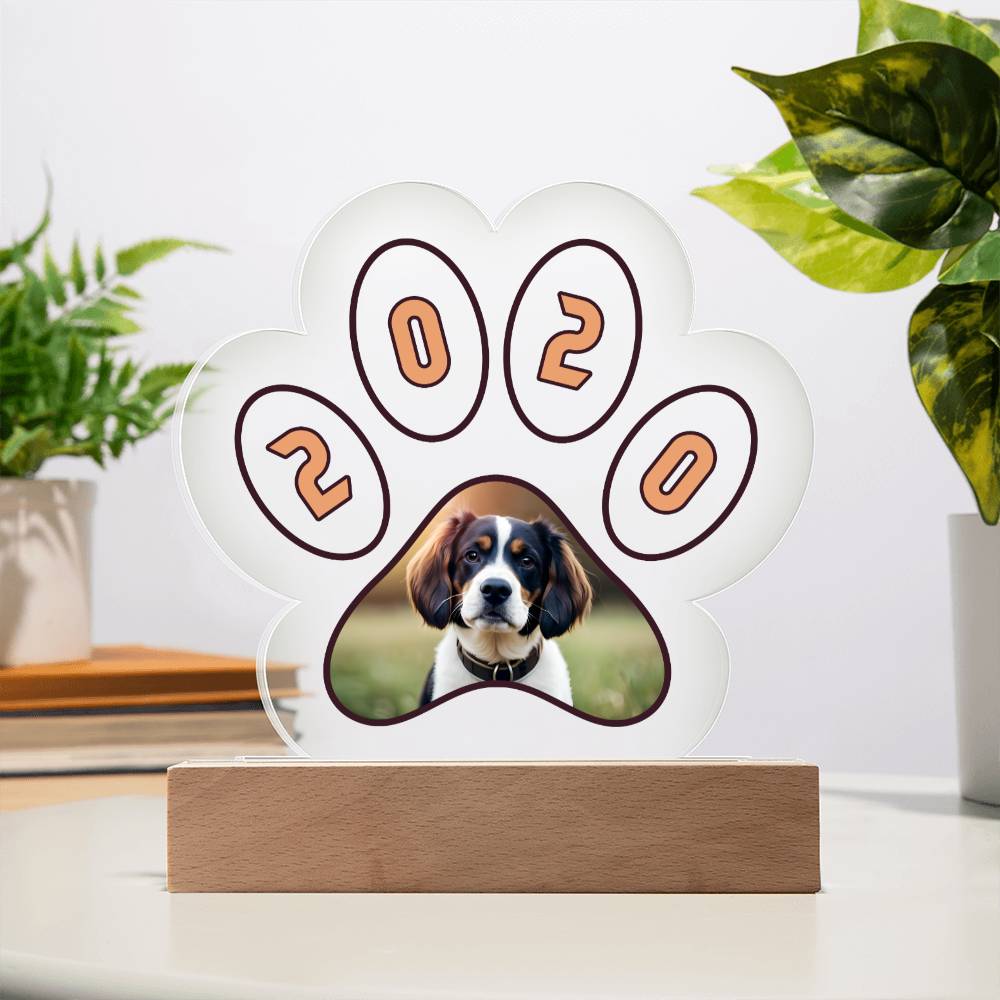 Acrylic Paw Plaque 2020 - Printed Paw Print Acrylic Plaque