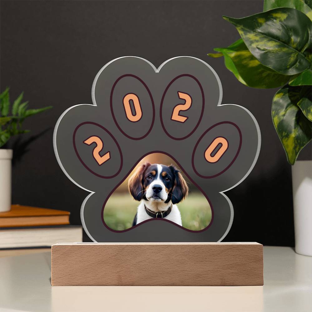 Acrylic Paw Plaque 2020 - Printed Paw Print Acrylic Plaque